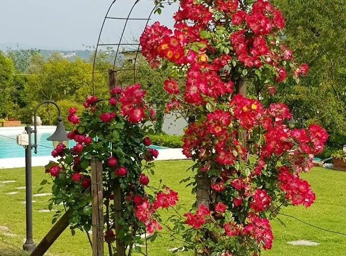 With Private Pool Willa