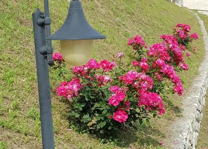 Willa With Private Pool *