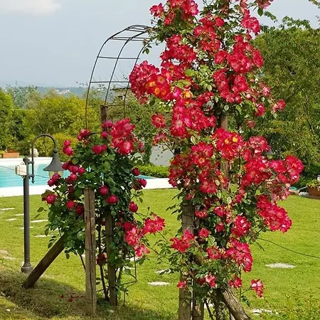 With Private Pool Вилла