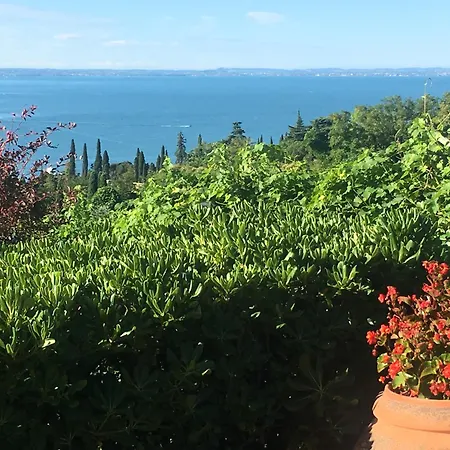 With Private Pool فيلة